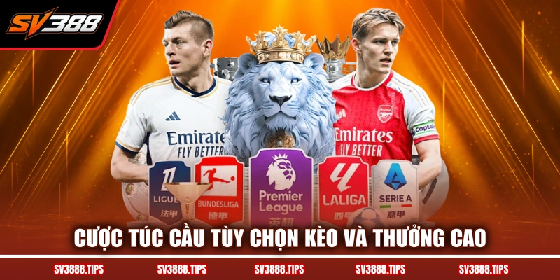 Cược túc cầu tùy chọn kèo và thưởng cao