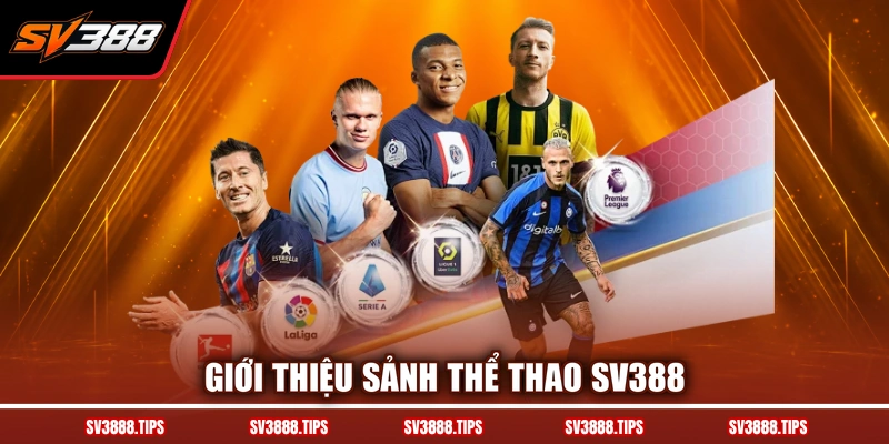 Giới thiệu sảnh thể thao SV388